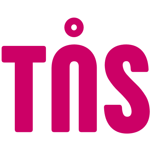 TNS SOLUTION CO LTD